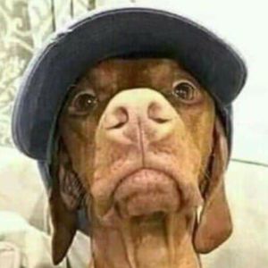 Meet your Posher, Fredo